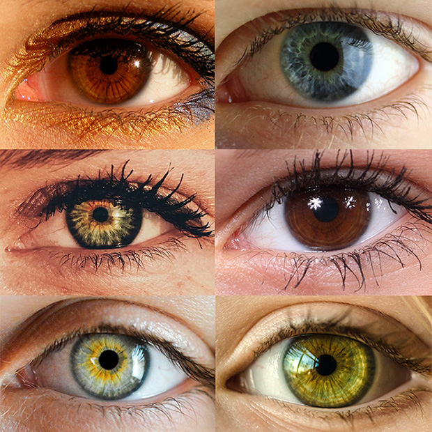 color of eyes percentage
